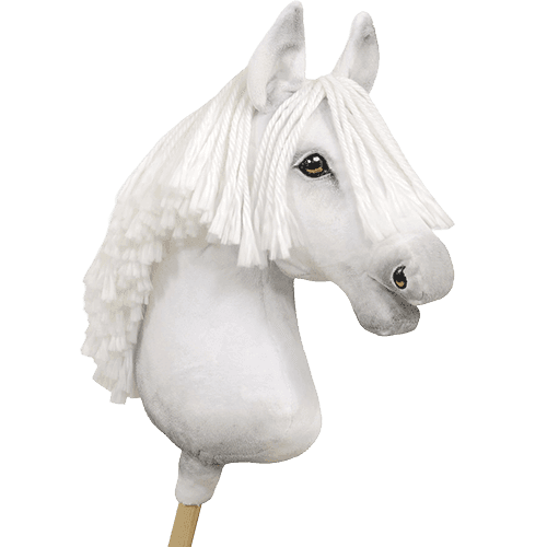 hobby_horse_210924_3 -min
