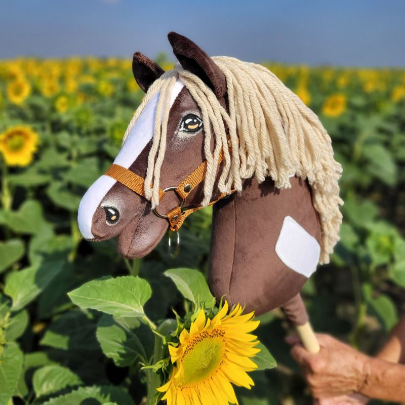 Wie hält man ein Hobby Horse richtig Nahaufnahme eines braunen Hobby Horse mit weißer Blesse und beiger Mähne, gehalten vor einem Feld mit Sonnenblumen.