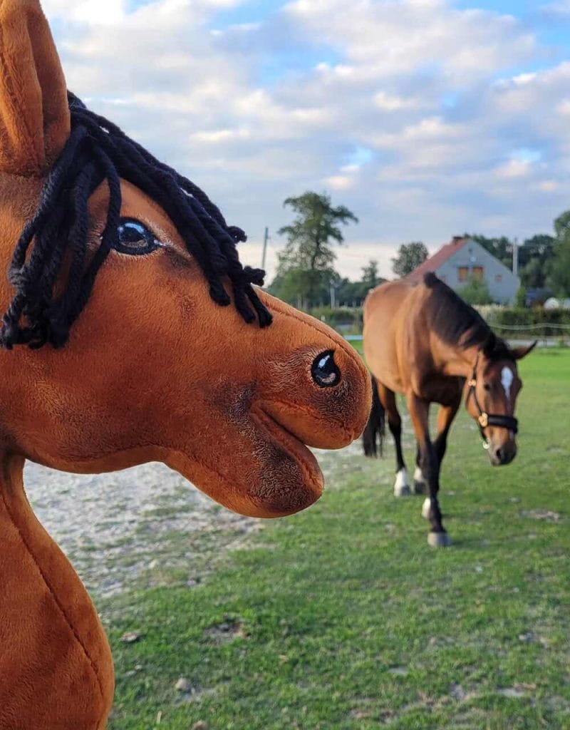 Combine Hobby Horse accessories correctly – The best sets for you ...